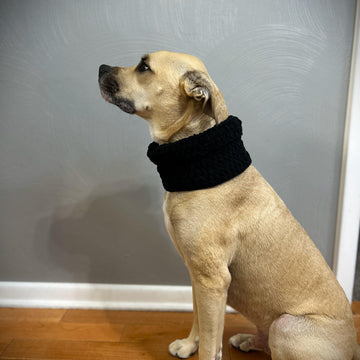 Dog Cowl