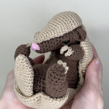 Armadillo