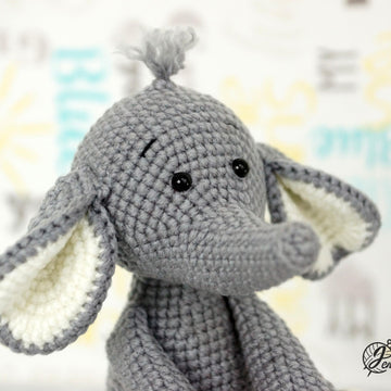 Elephant Twins