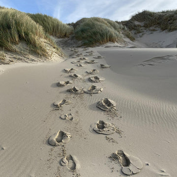 Dune Path