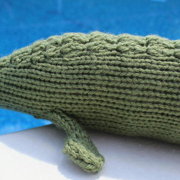 Beluga Sturgeon