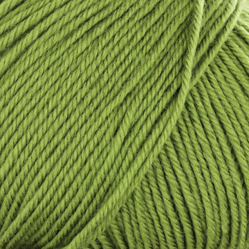 Parrot Green (49)