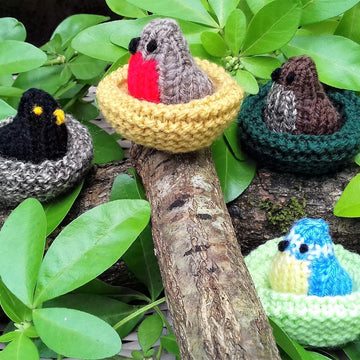 British Birds & Nests - Mini Creme Egg Covers