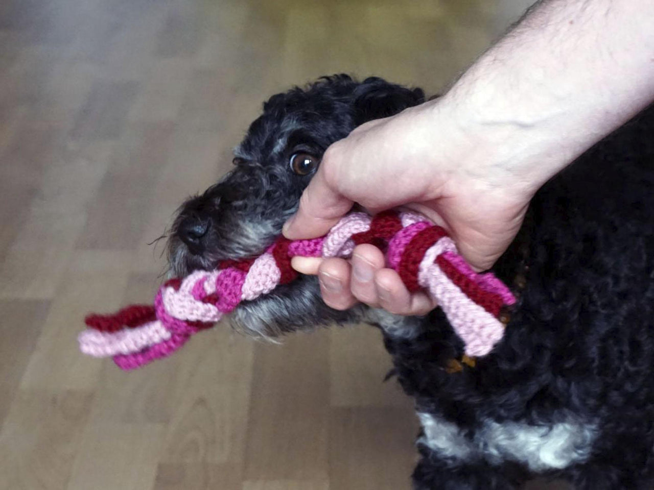 Häkelanleitung Hundespielzeug "Zerrseil" ♥
