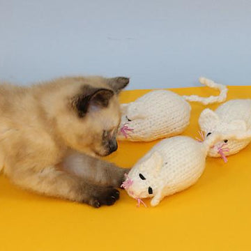 3 Blind Mice Kitten Toy