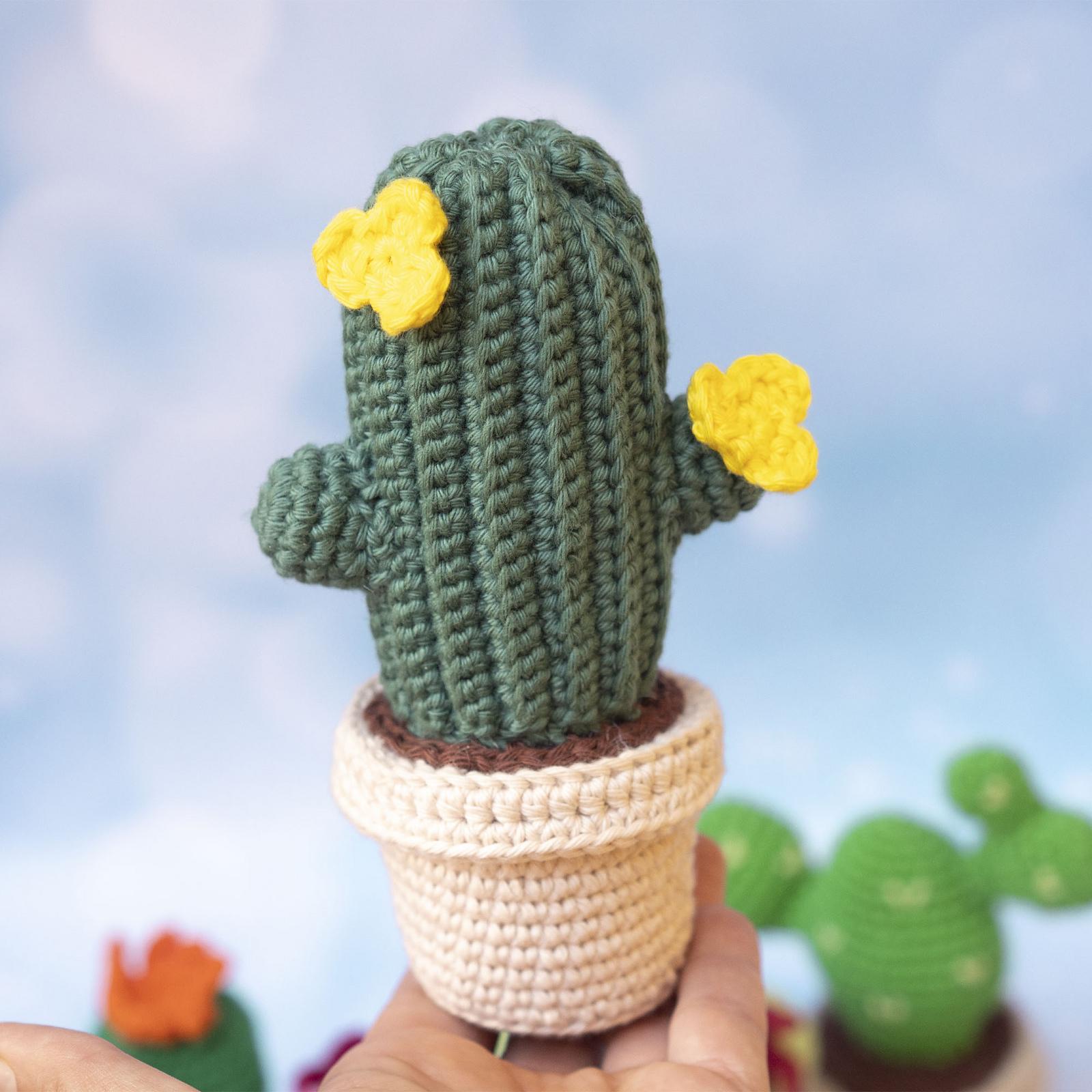 Cactus Bundle