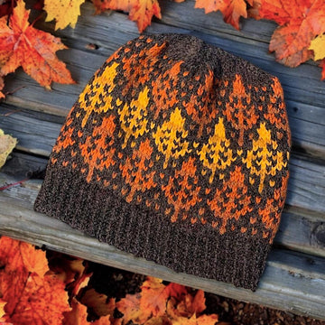 Mohawk Trail Knit Hat