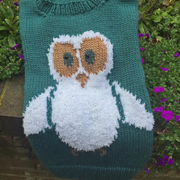 Oliver Owl for Adults