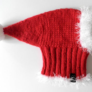 Santa Dog Hat
