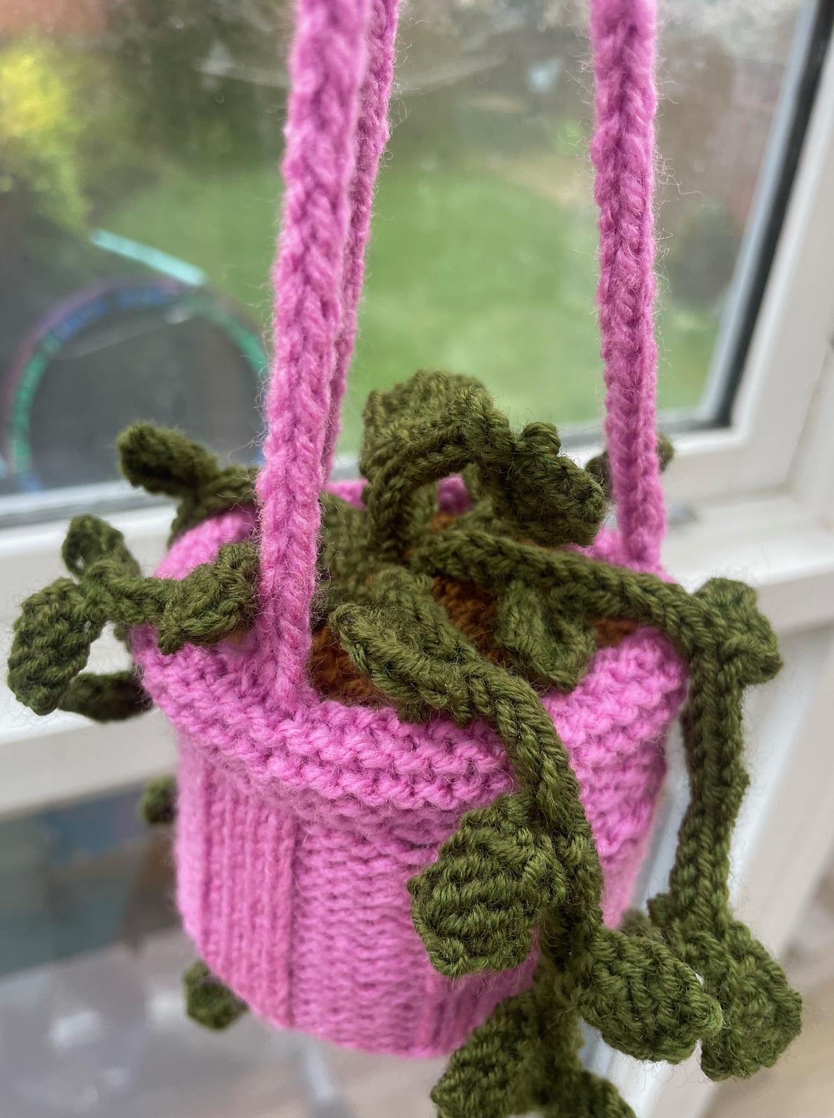 Hanging Plant
