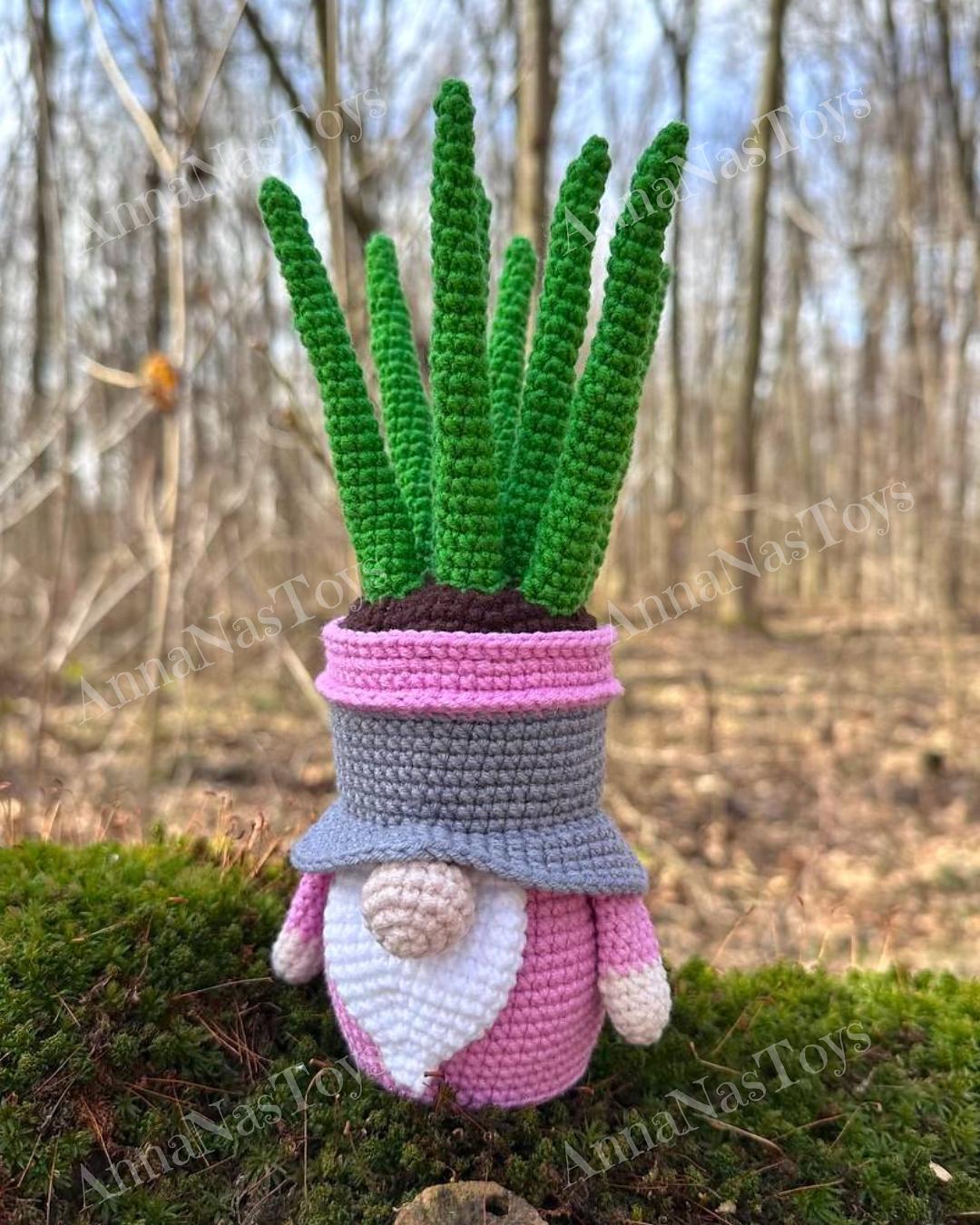 Gnome succulent_sansevieria 3