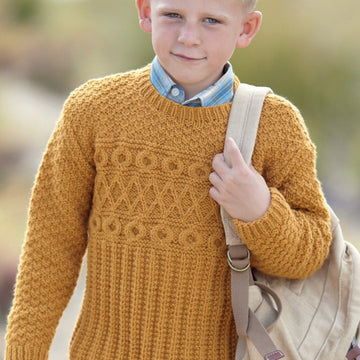 Sweaters in Sirdar Supersoft Aran - 2433 - Downloadable PDF