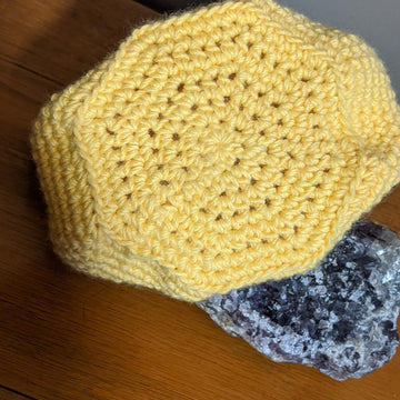 Pocket Full of Sunshine Pouch