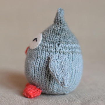 Little Owl