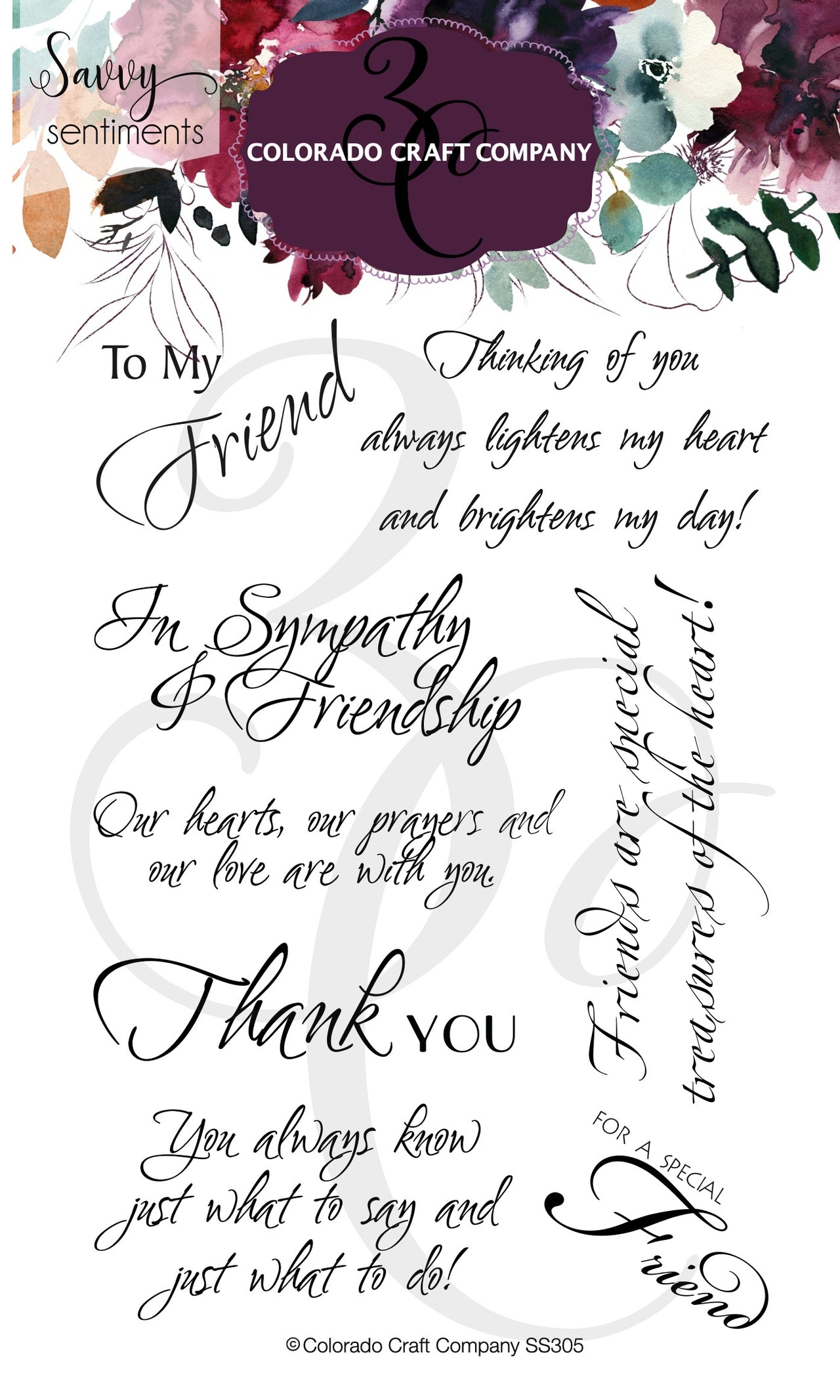 Colorado Craft Company Clear Stamps 4"X6" - Friendship Greetings-Savvy Sentiments