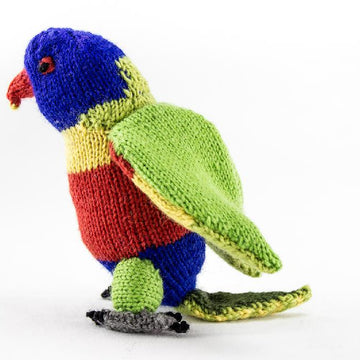 Rainbow Lorikeet