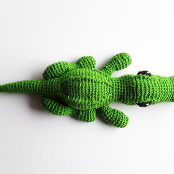 Crocodile - Alligator