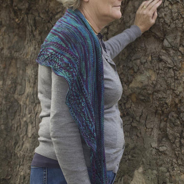 Starry Night Shawlette