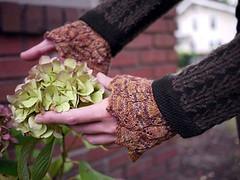 Hellebores