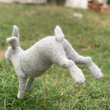 McGregor's Rabbit