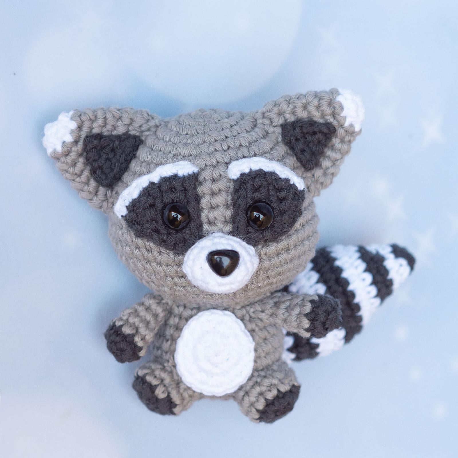 Baby Racoon