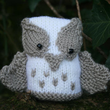 Owls - The Hoot Family