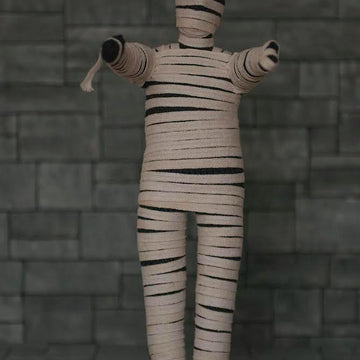 Egyptian Mummy