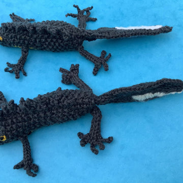 Newt