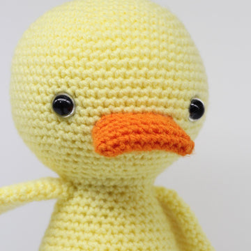 Quigley the Duck