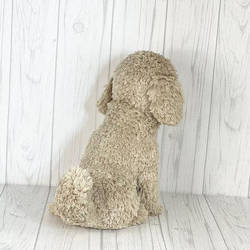Havanese Dog