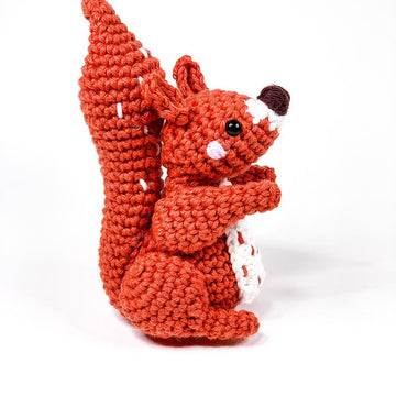 Stella the Squirrel