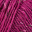 Fuchsia (21)