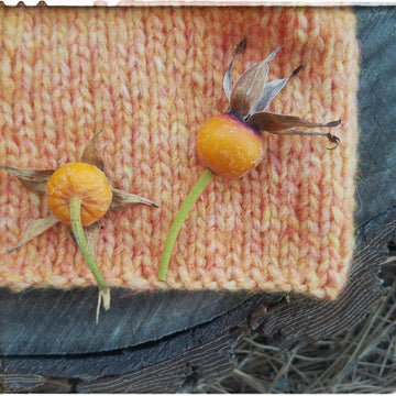 Autumn Rose beanie
