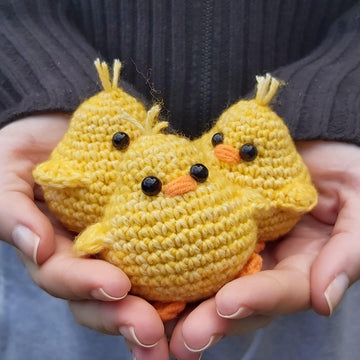 Diddy the Chick