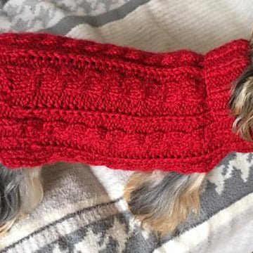 Red Wine Cabled Dog Sweater