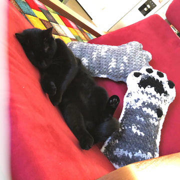 Toe Beans Pillow