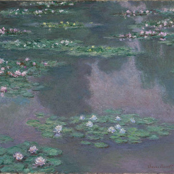 Water Lilies