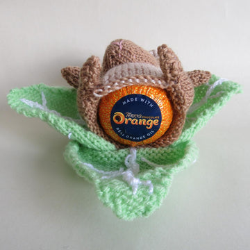 Rabbit in the Lettuce Chocolate Orange Cover Easter