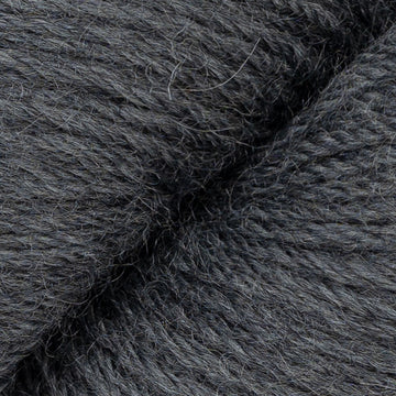 Fossil (1034)