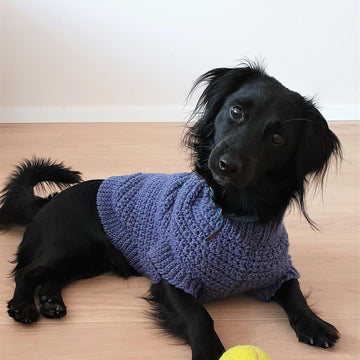 Nori dog sweater (S)