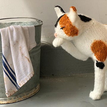 The Scullery Cat
