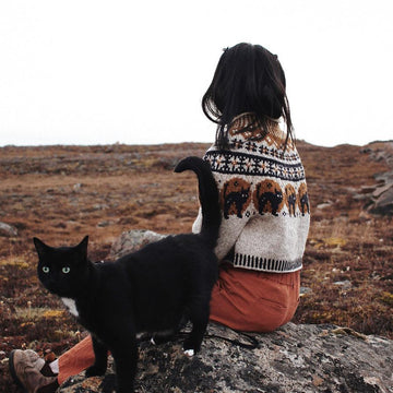 Nocturnal jumper
