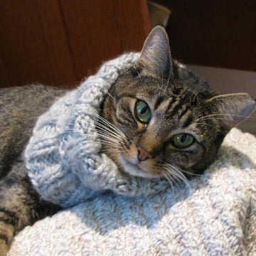 Seafarer's Cowl