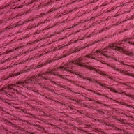 Raspberry (1023)