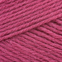 Raspberry (1023)