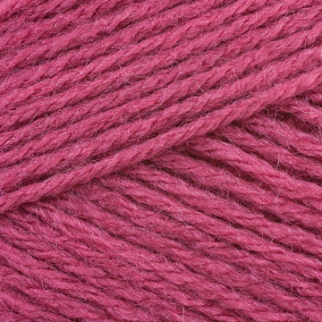 Raspberry (1023)