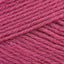 Raspberry (1023)