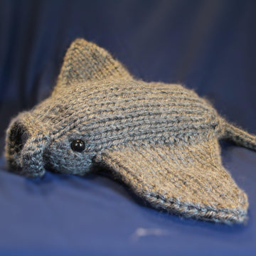 Manta Ray