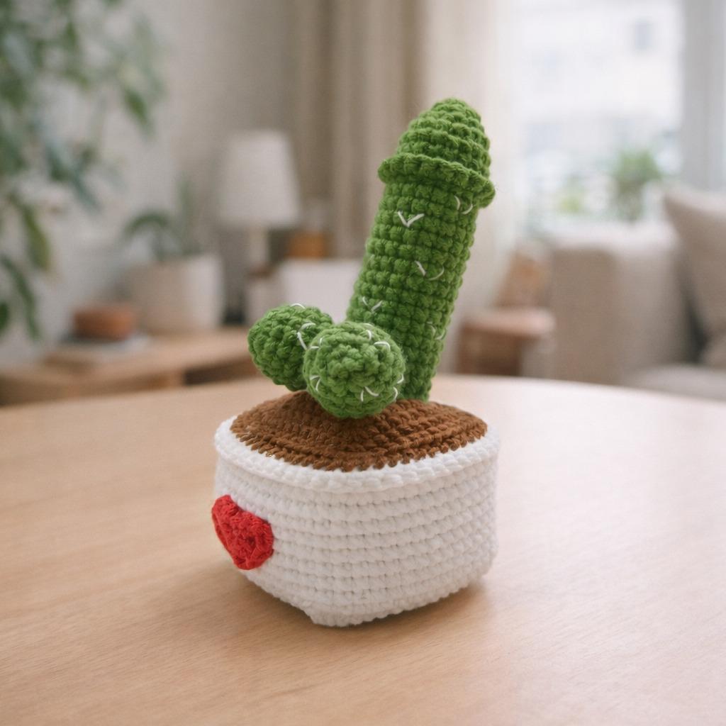 Surprise Cactus crochet pattern, Funny crochet pattern,Easy Crochet Patterns for Beginners