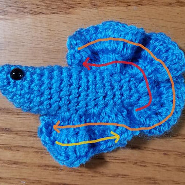 Betta Fish